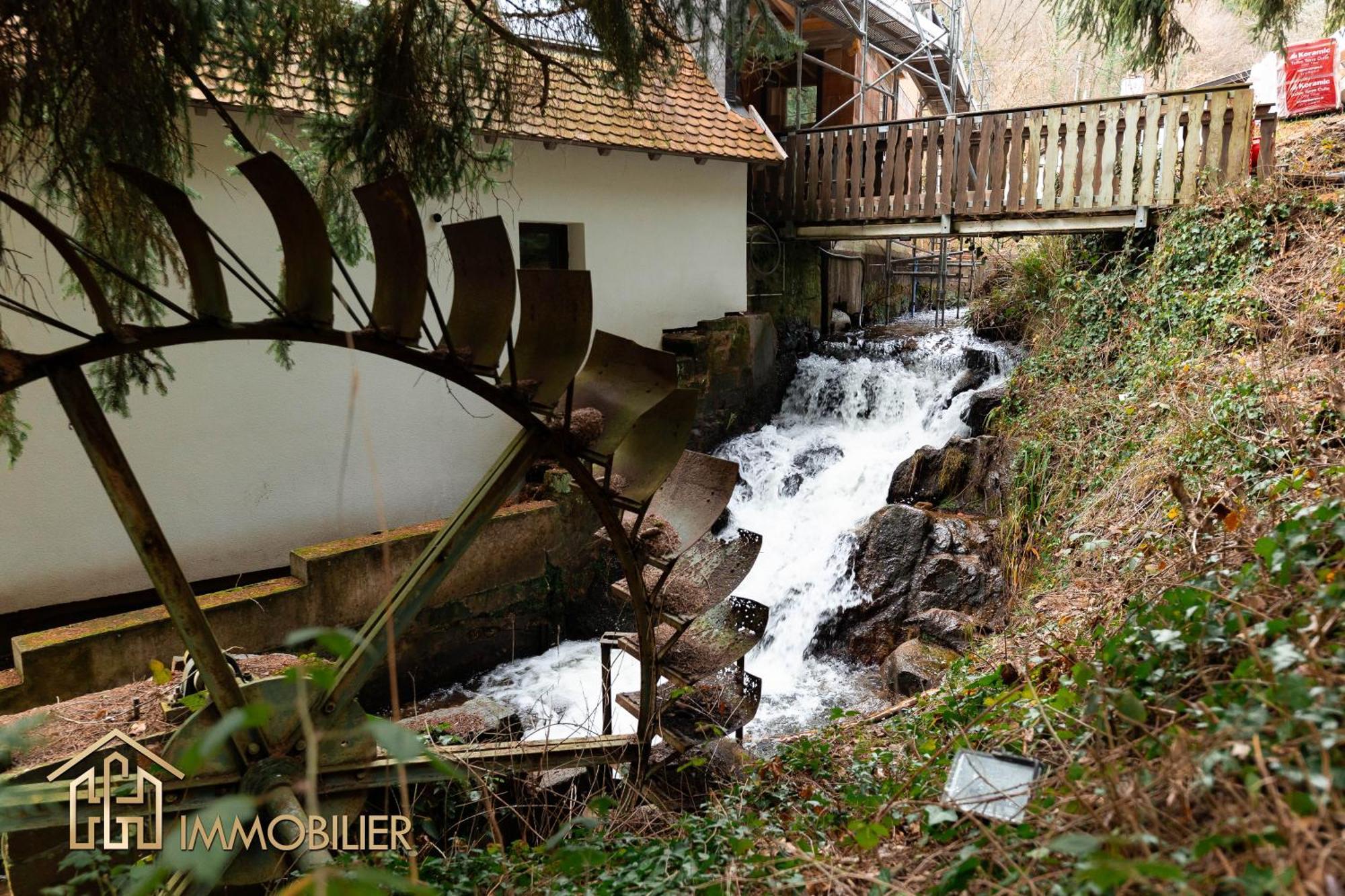 Domaine De La Source Gites 4 Personnes Au Calme Barr Kültér fotó